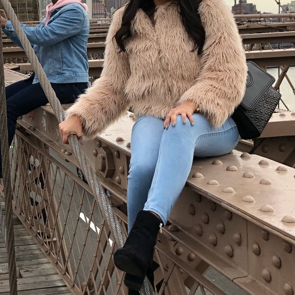 Express Jacket - Picture 5 of 8